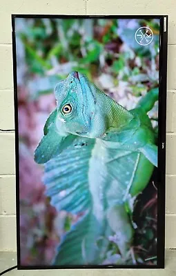 NEC E554 55  Inch FHD 1080p Commercial Digital Signage Display Monitor Screen • £299.99