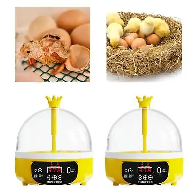 Digital Egg Incubator Poultry Hatchery Machine 4 Eggs Transparent Top Cover • £21.36