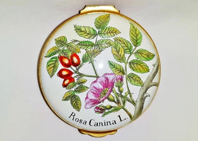 $25 • Buy Crummles English Enamels Trinket Box ~ Rosa Canina L. ~ Botanical Rose