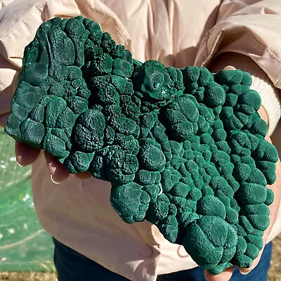 1.66LB Natural Glossy Malachite Coarse Cat's Eye Cluster Rough Mineral Sample • $51