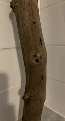 £10 • Buy Driftwood 1 Long Piece 103cm Length 8.5cm Width 5.5cm