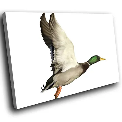 £19.99 • Buy Green Grey Duck Fly Orange Funky Animal Canvas Wall Art Large Picture Print