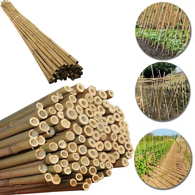 2ft-7ft Bamboo Canes Garden Stake Thick Poles Plants Flowers Support Wood Sticks • £13.49