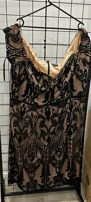 City Chic Nude And Lace Dress BNWT 22 XL • $29