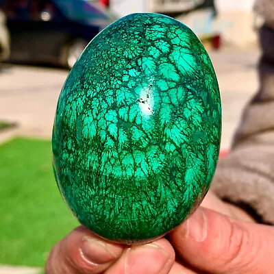 290G Natural Glossy Malachite Egg Transparent Cluster Rough Mineral Sample • $147.20