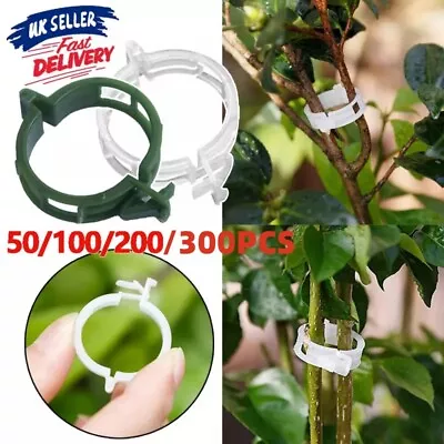 Plant Support Clips Ties Veggie Trellis Stake Greenhouse Tomato Garden Tools UK • £4.25