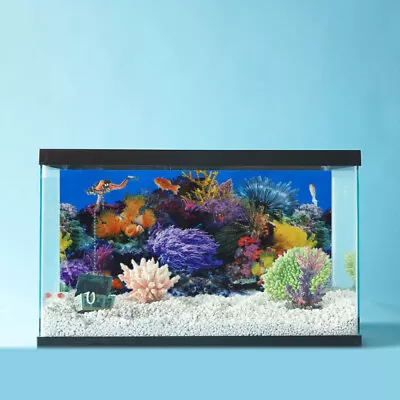 Aquarium Background Picture Aquarium Background Picture Fish Tank Sticker • £7.27