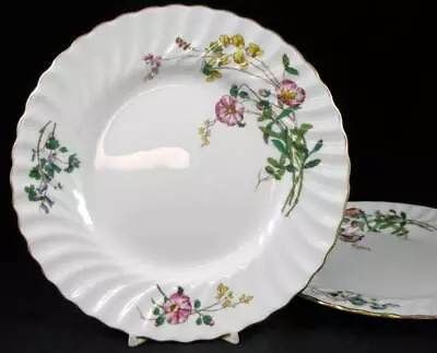 Minton Dainty Sprays Group Of 2 Salad Plates S511 • $14.88