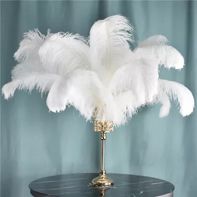 10Pcs Large White Ostrich Feathers 25-40cm Plume Craft Trim Wedding Party Decor • $13.57