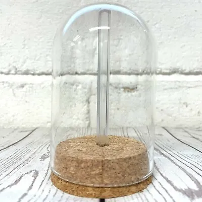 £12 • Buy 1 X Glass Dome Cloche Display Bell Jar Cork Base With Perspex Mount 10cm X 6.5cm