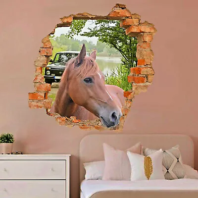 £15.99 • Buy Lakeside Nature Beautiful Brown Horse Wall Sticker Poster Decal Mural Decor QC2