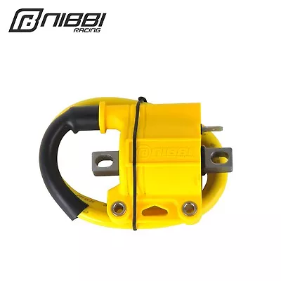 NIBBI 2/4T Motorcycle Ignition Coil For Dirt Bike ATV Quad Scooter Moped Go Kart • $17.99