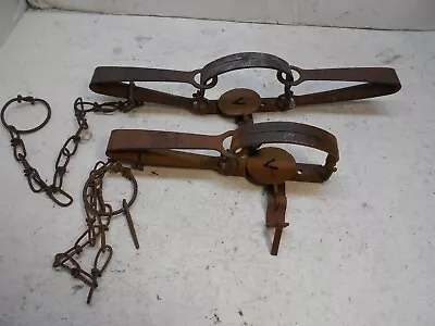 2 Vintage Victor Traps With Victor Stamped Jaws 1-1/2 Ls No-2 Dbl Ls • $48