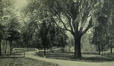 C.1900-10 Entrance Mt. Pleasant Cemetery Geneva OH Vintage Postcard F76 • $5.49