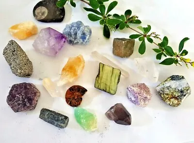 Natural Raw Healing Crystal Gems Minerals Stones Reiki Chakra Mystical Wisdom • £3