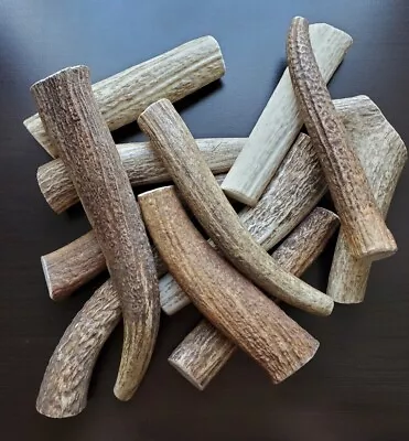 Elk Antler Dog Chew - Premium Grade A USA Whole Antler - 1 Piece - Size S/M/L/XL • $14.95