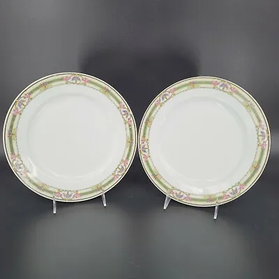 Victoria China Czechoslovakia Set Of 2 X 9 3/4  D Dinner Plates • $13.93