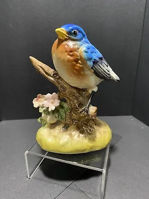 Vintage Ceramic Bluebird Figurine 5 3/4  Tall - Japan • $12
