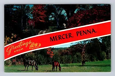 Mercer PA-Pennsylvania General Banner Greeting Antique Vintage Postcard • $7.99