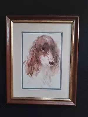 £7.99 • Buy Vintage Framed Print Of An English Springer Spaniel By Danish Artist Mads Stage