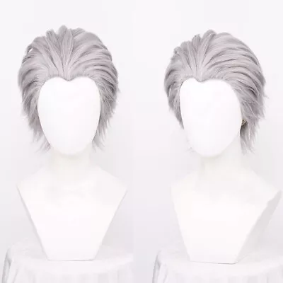 Devil May Cry 5 Vergil Cosplay Wig Silver Gray Men Halloween Party Accessories • $30.61