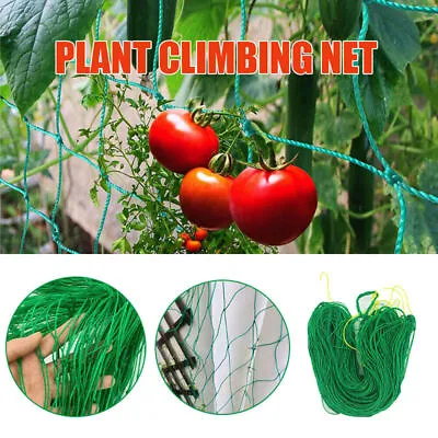 £4.97 • Buy Plant Support Mesh Garden Netting Vegetable Fruit Climbing Net Pea Bean`Trellis