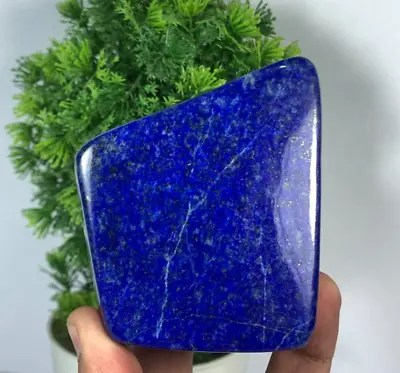 423Gram Lapis Lazuli Freeform Rough AAA+ Grade Tumbled Polished From Afghanistan • $49.99