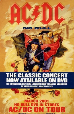 $34.99 • Buy AC/DC 2001 No Bull Concert DVD Original Promo Poster