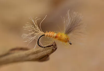 12 Flies CDC Comparadun Mayfly Dry Fly - Mustad Signature Fly Hooks • $8.99