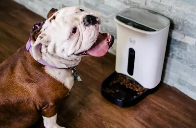 Arf Pets Automatic Pet Feeder Food Dispenser For Dogs And Cats Programable • $39