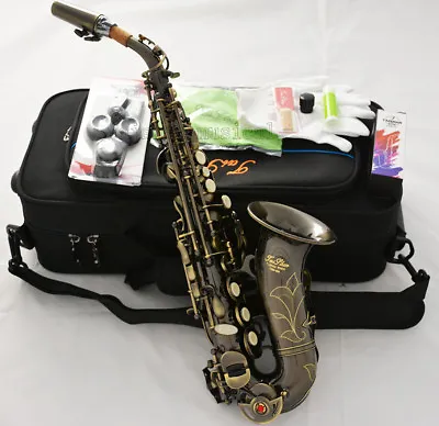Professional TaiShan Bb Soprano Saxophone Curved Antique Bronze Sax High F# New • $580