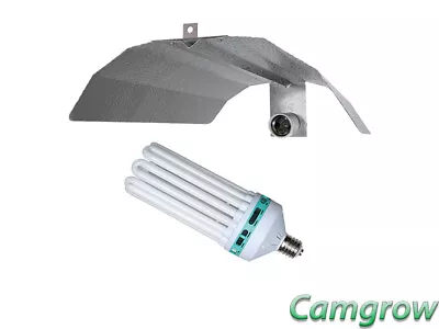  CFL  Light Kit -  CFL Blue 250W Lamp/Bulb & Reflector - Propagation & Veg  • £59.95