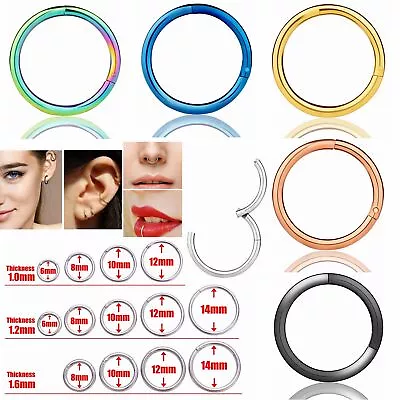 Surgical Steel Nose Ring Hinge Segment Ear Lip Eyebrow Belly Button Ring Hoop • $3.63