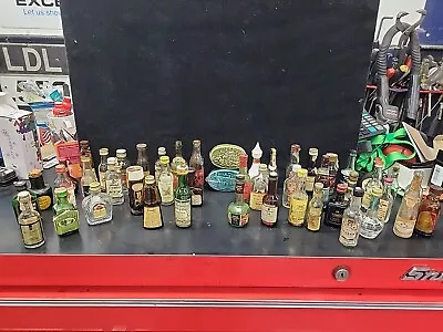 Lot Of 48 Vintage Mini / Airline Type Liquor Bottles - All Glass & Empty Whiskey • $79.90