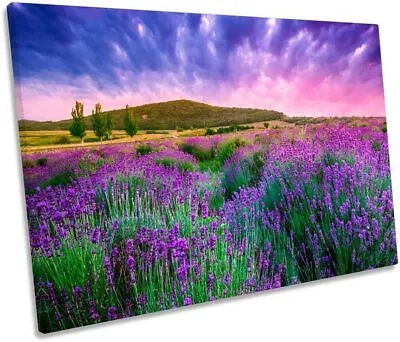 Summer Lavender Field Sun  Canvas Wall Art Wood Framed Ready To Hang XXL • £20