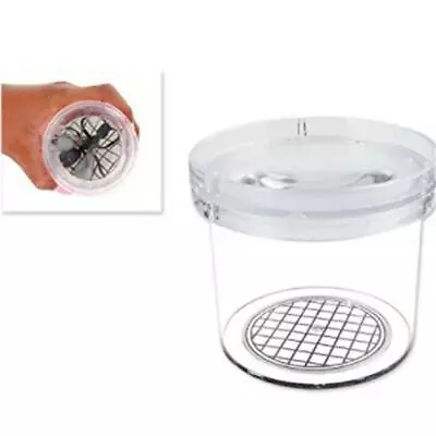 Children Bug Box Insect Magnifier Small Plastic Clear Kids Viewer Bug Catchers F • £3.98