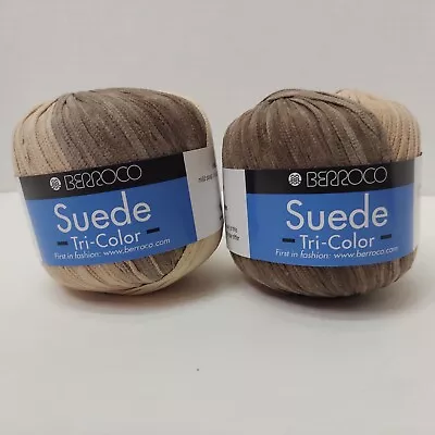 Lot Of 2 Balls Of Yarn Berroco Suede 100% Nylon  Col:3798 120 Yards Each Italy • $13.60