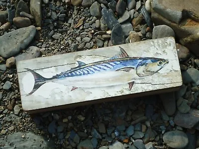 £12.99 • Buy Mackerel Fish Wooden Box Fishing Treasure Pencil Chest - Picture Nautical Tackle