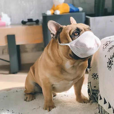 £8.23 • Buy 3x Cotton Muzzle For Short Nosed Breed Dog French Bulldog Boxer Boston Flat Nose