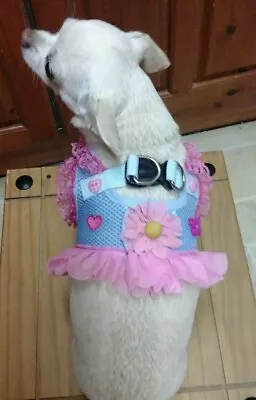 Designer Dog Harness Size Small Dog /chihuahua/ Sky Blue & Pink. LAST ONE  • £10.99