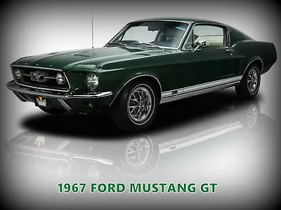 1967 Ford Mustang GT NEW Metal Sign: Pristine Restoration In Green • $19.99