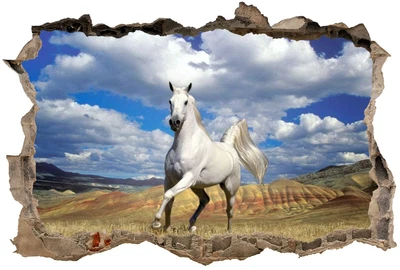 £4.49 • Buy Horse Wall Art Vinyl Decal Sticker Boys Girls Playroom Bedroom New 3 Size Home 