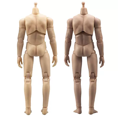 1/12 Male Normal/Suntan Skin Flexible 6inch Muscular Action Figure Body Toys NEW • $16.16