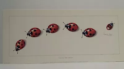 £14.99 • Buy Follow The Leader Ladybirds By Warwick Higgs