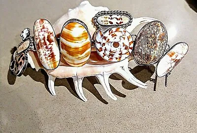   Amy Kahn Russell   THE BEACH  ONE OF A KIND S/S Natural Shell Bracelet • $500