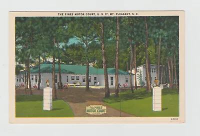 Mt Pleasant SC - The Pines Motor Court  U.S. 17 Vintage Postcard 1104 • $6.99