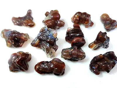 100% Natural Multi Fire Agate Rough Polished Rough Handmade Gemstone Lot 249Cts • $57.99