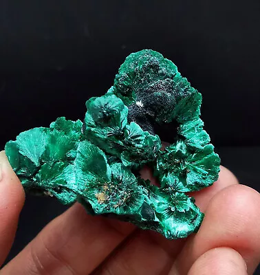32gHigh Quality  Natural Malachite Crystal Mineral Specimen/Hubei • $5.50