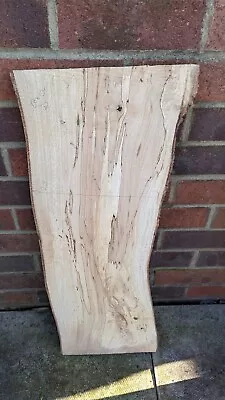 Live Edge Spalted Beech Wood Slab #D Hardwood Board Waney Edge Slab • £25