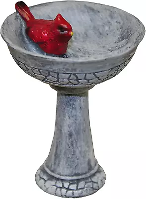 Minigardenn 10027 Fairy Garden Polyresin Miniature Cardinal Birdbath Pick • $16.88